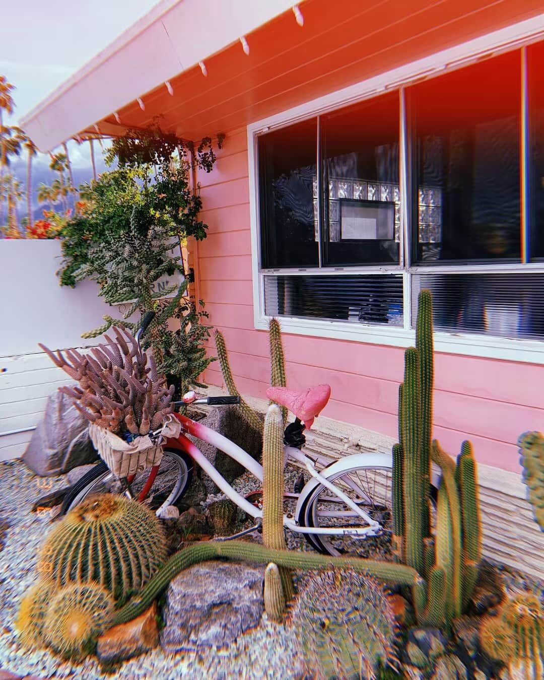 Hollister Co.さんのインスタグラム写真 - (Hollister Co.Instagram)「This spot is on point. 🌵 #ViewsFromHCo」4月21日 1時06分 - hollister