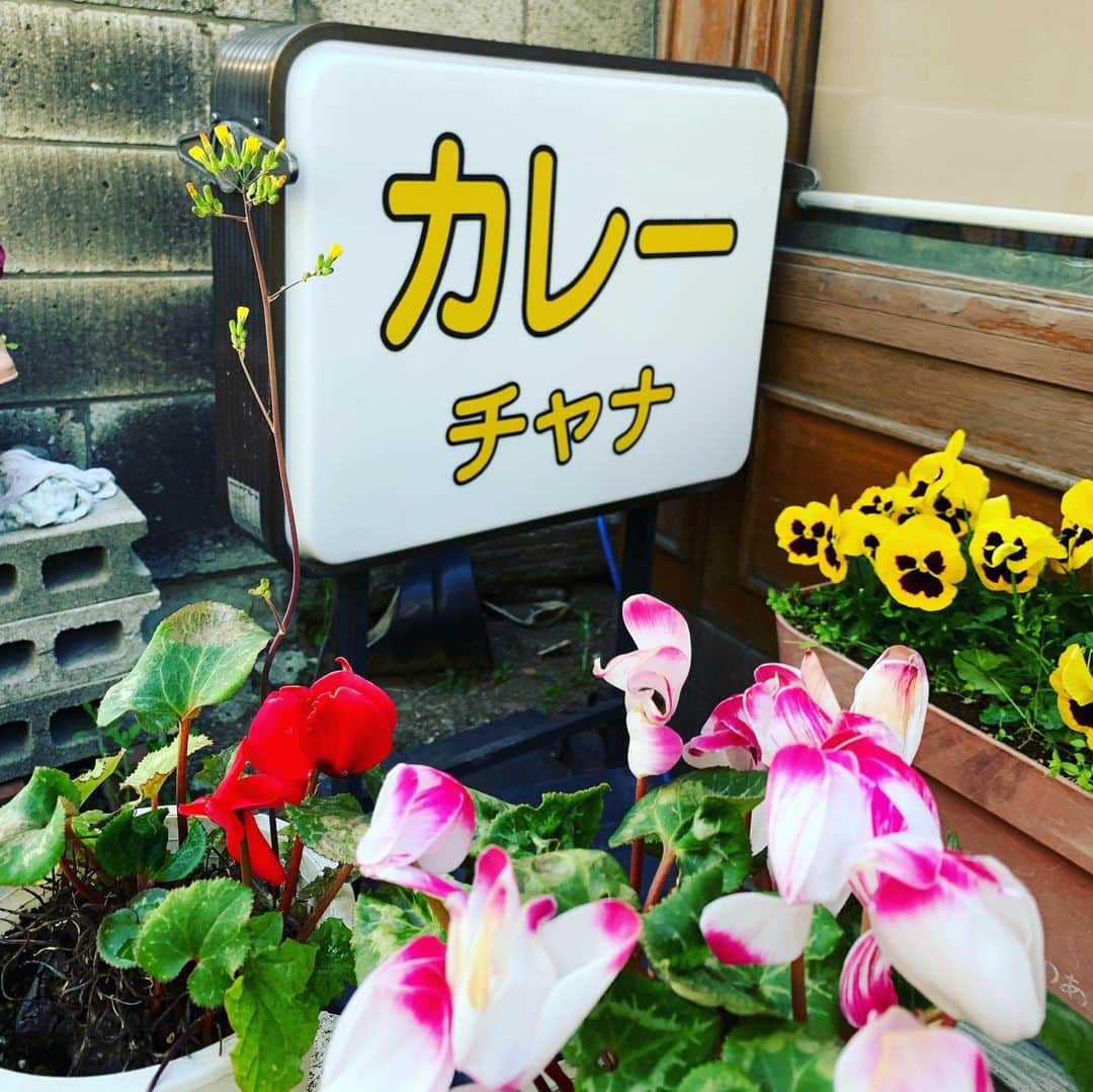 松尾貴史さんのインスタグラム写真 - (松尾貴史Instagram)「よかった！  4／23日、三軒茶屋・若林のカレー店「チャナ」が営業再開。  ご病気で休んでいる旨の貼り紙が続いていたので案じていましたが、一安心。」4月20日 16時25分 - kitsch.matsuo