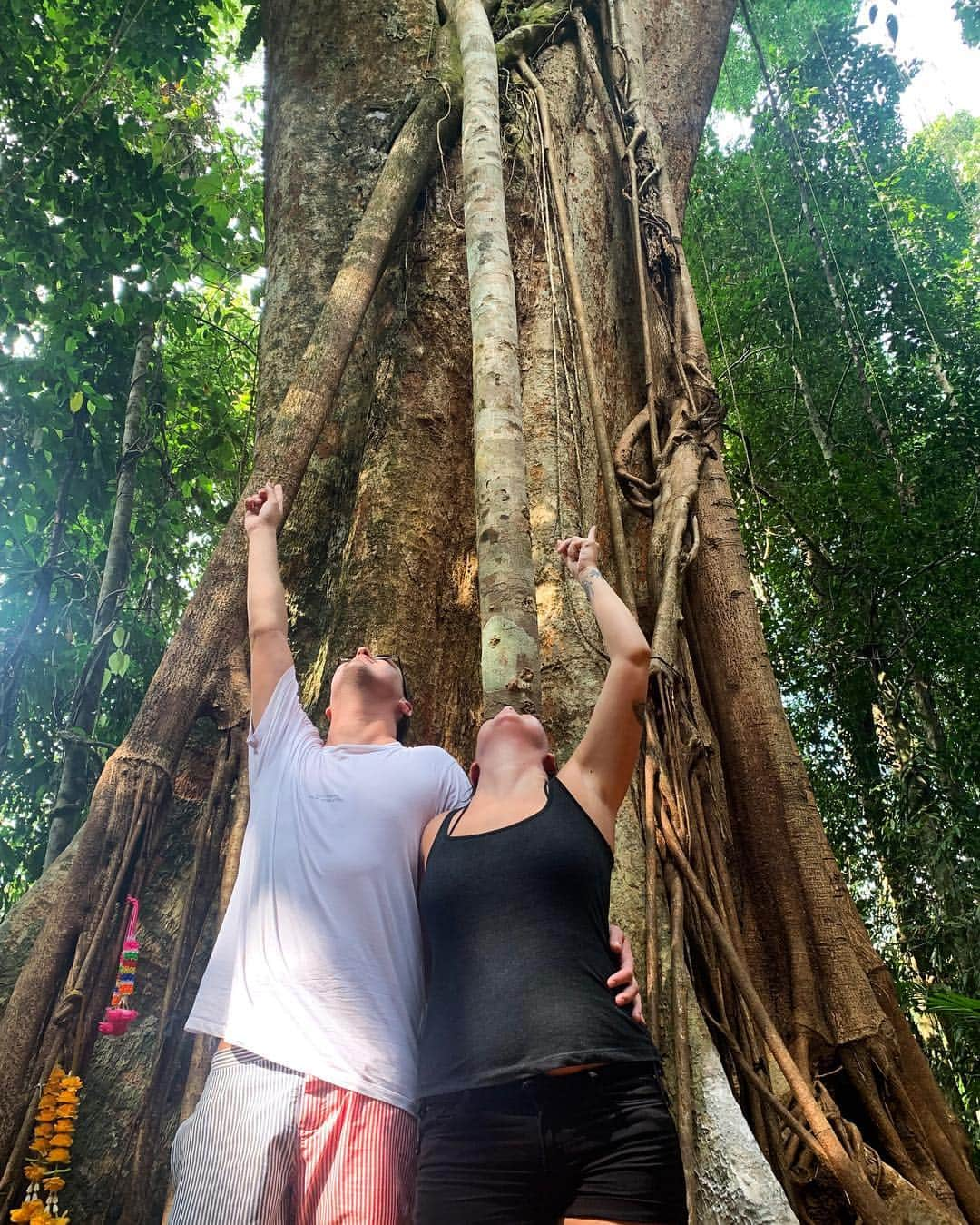 ロビン・シュルツさんのインスタグラム写真 - (ロビン・シュルツInstagram)「Looking up the 500 years old tree 🌳」4月20日 17時12分 - robin__schulz