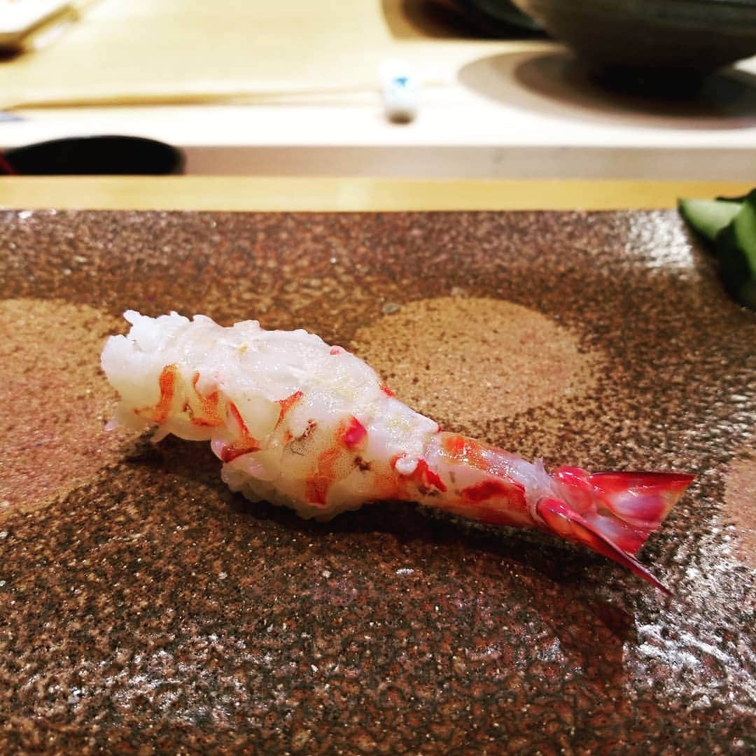 今堀恵理さんのインスタグラム写真 - (今堀恵理Instagram)「ずっと行きたかった福岡県小倉にある「天寿し」に行って来ました お寿司一本でお酒なし。お寿司を純粋にカウンターで食べました💕　 貴重な日 見た目の美しさも素晴らしいです。 美味しかった～✨大満足です  コーデ ブラウス　@lamia_fashionn スカート　gucci 帽子　@lucienpellatfinetofficial  #天寿し 　#食べログゴールド　#日本の名店　#sushi🍣  #福岡県小倉 　#ミシュラン　#japanesefood  #美味しかった😋 　#新幹線なう 　#michelin #九州　#ヨンア　#めしてろ 　#食べ歩き記録  #タベスタグラム」4月20日 17時24分 - eriimahori