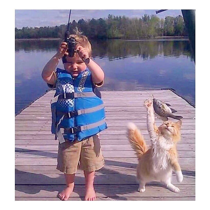 のインスタグラム：「#caturday 👀」