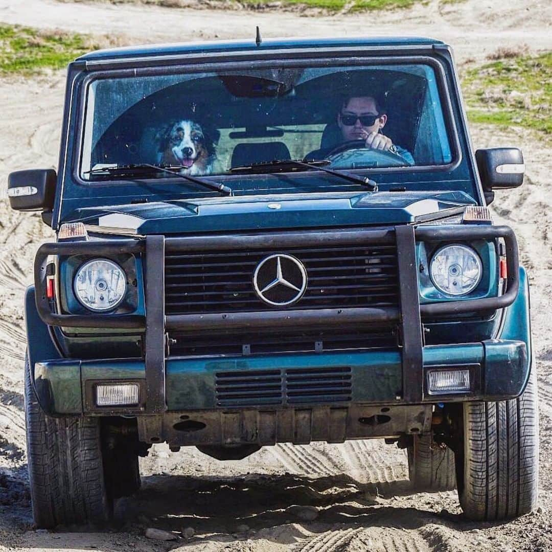 メルセデス・ベンツさんのインスタグラム写真 - (メルセデス・ベンツInstagram)「They see me rollin'. 🐾 Photo by @green.wagen with @xaycob. . #MercedesBenz #🌟 #GClass #strongerthantime #mbfanphoto #supercarpups #supercarpupsrecruits #automotivedesign #offroading #mbcar」4月20日 18時30分 - mercedesbenz