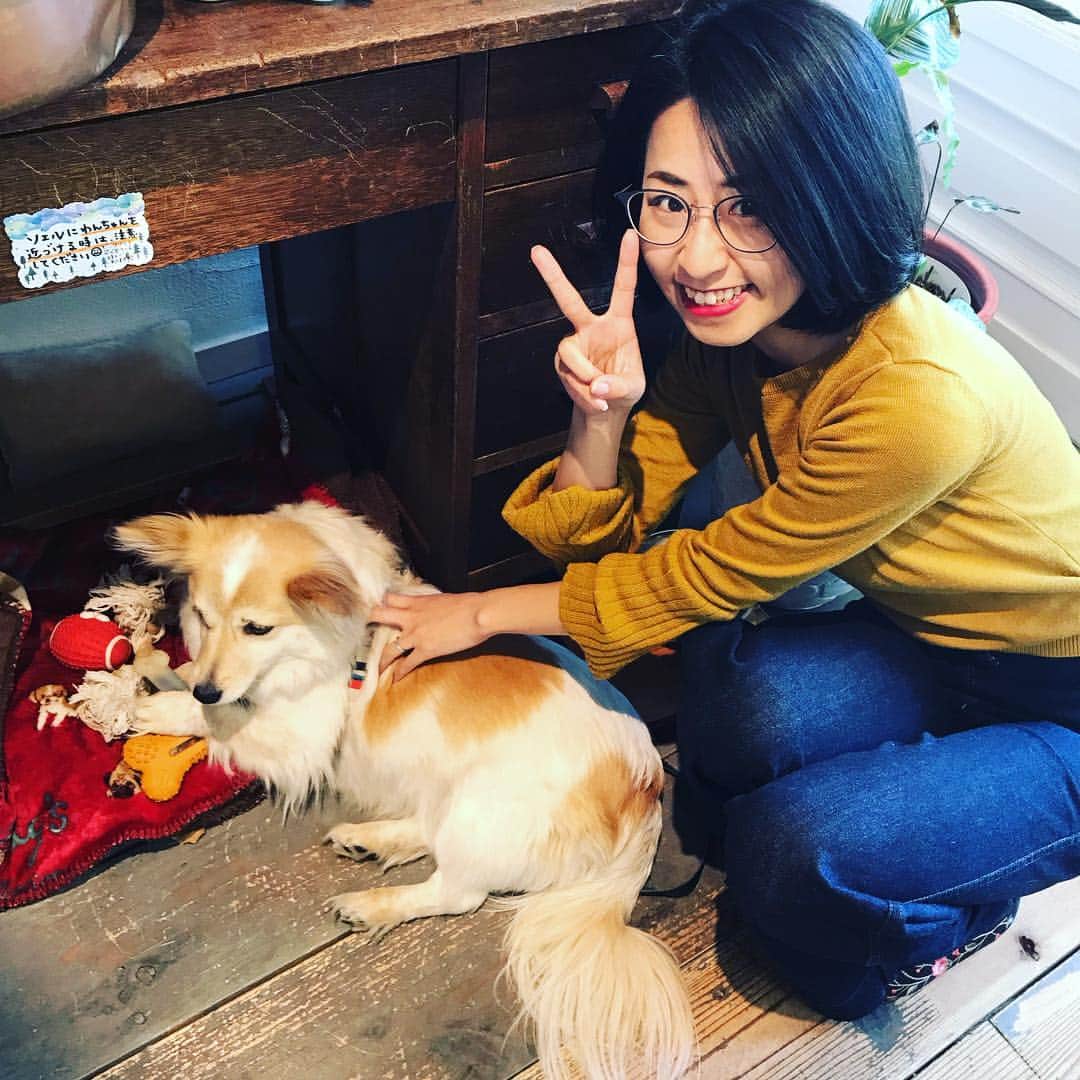 中野耕史のインスタグラム：「ずっと行きたかったお店 #王子公園駅 近くの #sowel  カフェ&ギャラリーの落ち着いた雰囲気が心地いい😊 昔 #KissFM で一緒に番組をしていた ごーちゃんが作ってる #薬膳カレー が美味しかったぁ😋」