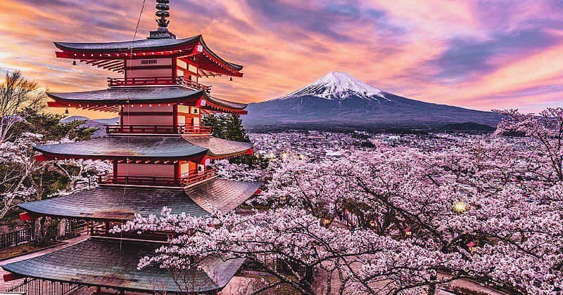 RIKUYAのインスタグラム：「🗻 ㅤ Arakurayama Sengen Park ㅤ 3353-1 Arakura Fujiyoshida, Yamanashi ㅤ #桜 #Canon #ig_Japan #jp_gallery #jalan_travel #EXPLOREJPN #PHOS_JAPAN  #art_of_japan_ #retrip_nippon #special_spot_  #bestjapanpics #daily_photo_jpn #icu_japan #special_spot_  #bestjapanpics #ig_photosentez #bestphoto_japan #jp_gallery_member #super_japan_channel」