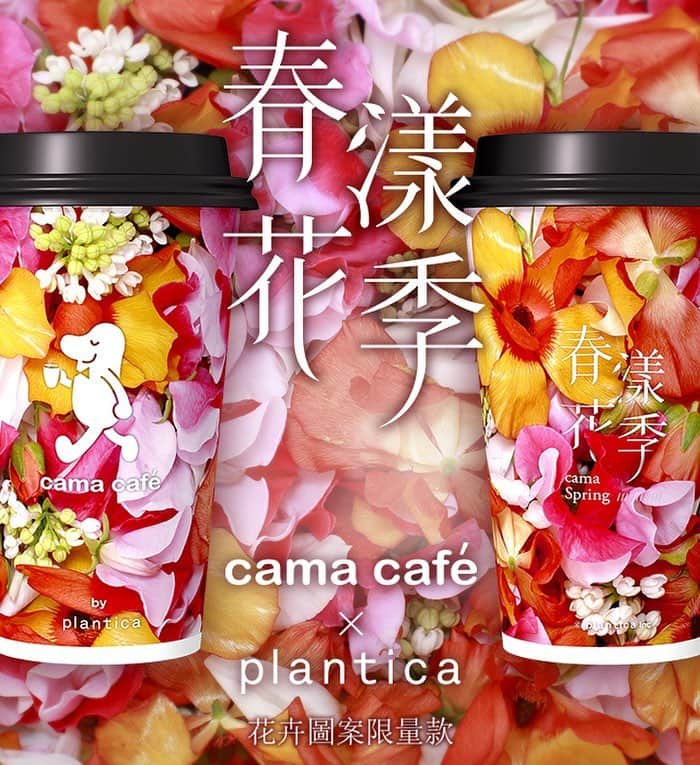 planticaさんのインスタグラム写真 - (planticaInstagram)「#春漾花季 ﻿@camacafe_tw × @plantica_jp」4月20日 19時56分 - plantica_jp