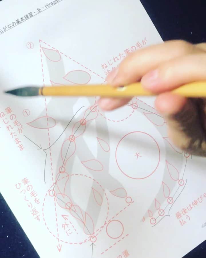 鈴木暁昇のインスタグラム：「* ◆ひらがな基本練習・あいうえお◆リメイクバージョン ◆Hiragana basic practice◆ * 穂先の通る位置に留意してなぞります。 * 明日への扉 * ◆参考書籍◆ 鈴木曉昇著 極める基礎習字練習帳→お子様の習字練習や習字初心者向けに徹底的に基礎練習にこだわった書籍です。 * ************************* * I made a model set for tracing practice. You can purchase from the Gyousyou Suzuki store of the website link on the Instagram profile. * You can practice it repeatedly if you print PDF from5 characters あいうえお required for basic block letter PDF. * #書道 #鈴木曉昇 #和 #wabisabi #calligraphy #筆文字 #artistic #beautiful #chinesecalligraphy #墨 #sumi #書法 #japan #手書き #美文字 #手書きツイート #オリンピック #Olympic #japaneseculture #日本 #chineseculture」