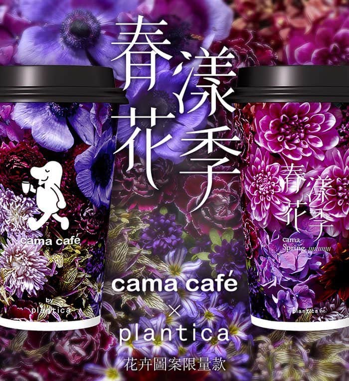 planticaさんのインスタグラム写真 - (planticaInstagram)「#春漾花季 @camacafe_tw × @plantica_jp」4月20日 20時07分 - plantica_jp