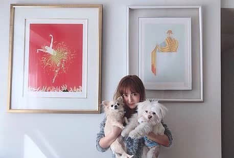 高咲里音のインスタグラム：「. ビビ連れて実家」