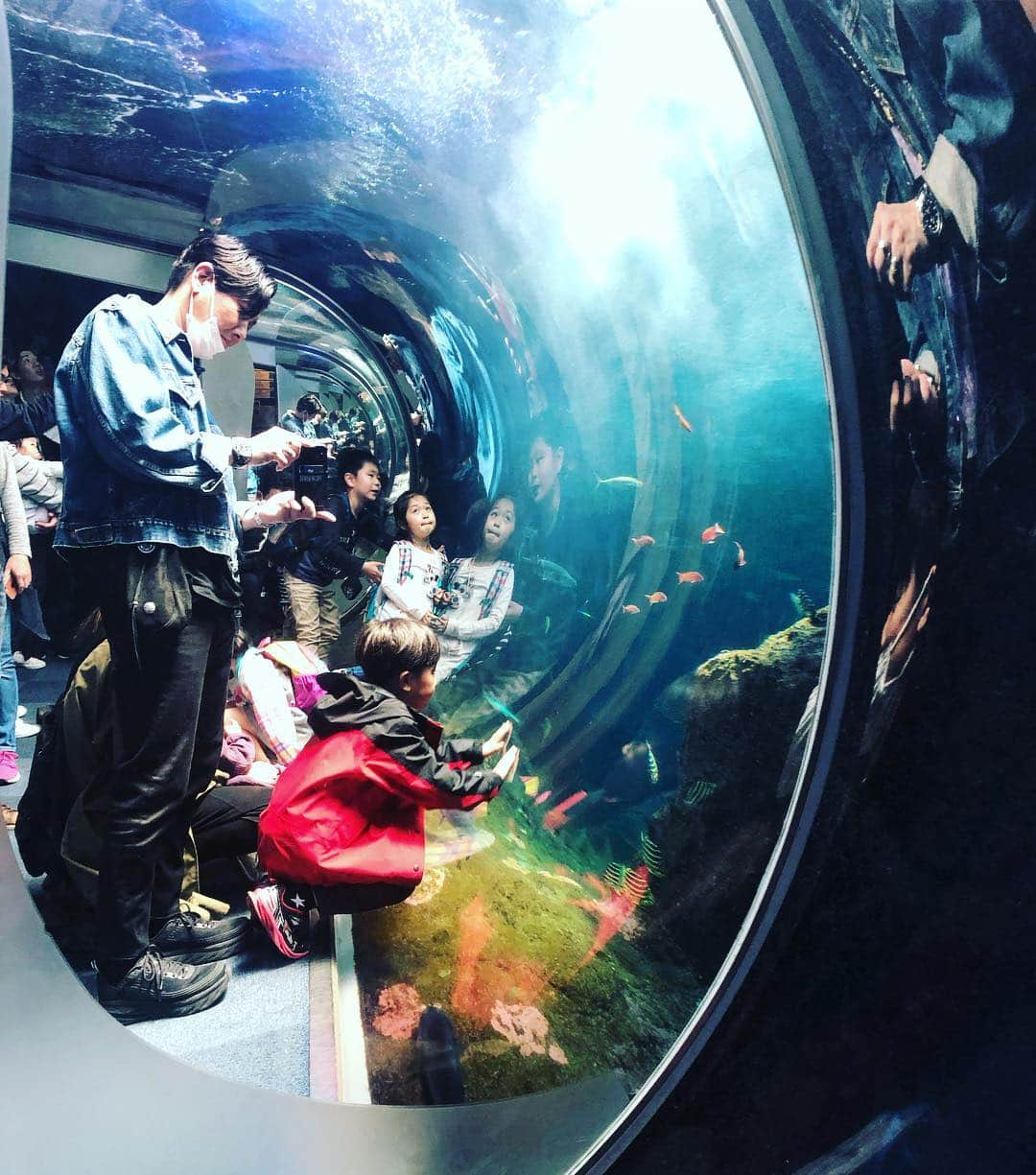 小川哲史さんのインスタグラム写真 - (小川哲史Instagram)「🐟🐠🐡 #しんえのしま水族館 #水族館」4月20日 20時39分 - satoshiogawa92