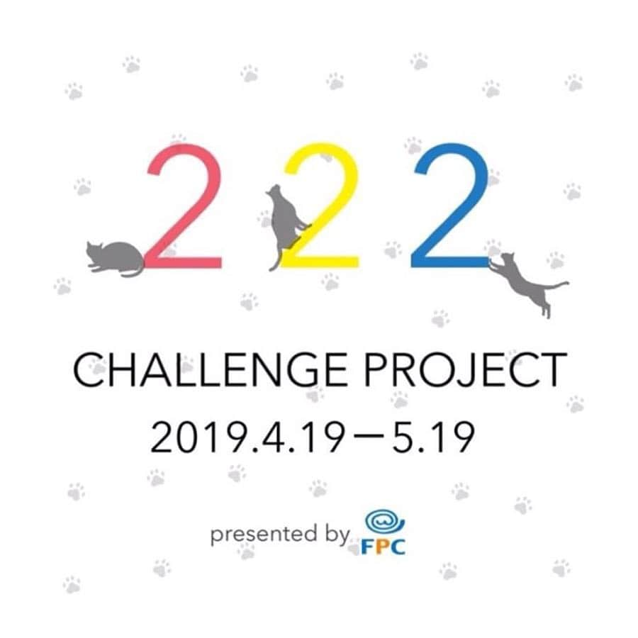 ぐっぴーさんのインスタグラム写真 - (ぐっぴーInstagram)「【殺処分をゼロに！全員集合！】 ・ 「222 CHALLENGE PROJECT」 ・ このプロジェクトの投稿が22,200枚を超えると 22,200円が 「かながわペットのいのち基金」へ寄付されます！ ・ ・ ＜参加方法＞ ①Instagramから @nyancon01 をフォロー ② #nyancon01 をつけてネコのお写真を投稿 ・ ・ 是非ご参加ください！ ・ #猫も人間も幸せな社会に」4月20日 20時45分 - gupitaro