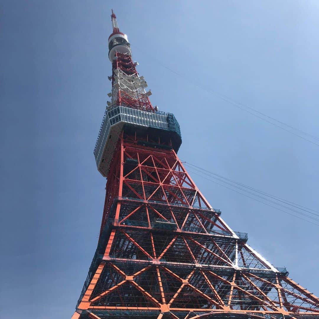 ンダホさんのインスタグラム写真 - (ンダホInstagram)「東京タワーと時々ダーマ🗼  #モトキもいるよ #タワーを見上げない子達」4月20日 20時56分 - ndaho.fischers