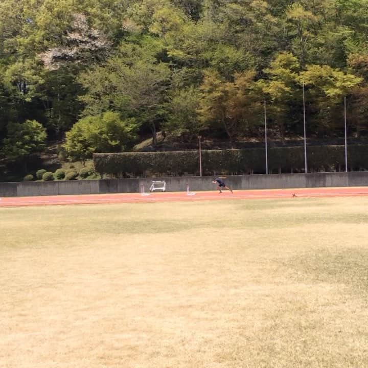 矢澤航のインスタグラム：「* 250m Rhythm Run * 珍しくRun Menu の動画を載せてみます！ 試合の一週前くらいに200m〜250mの距離を同じリズムを刻んで走る練習をしています。出力は80〜90%程度の意識でとにかく最後までリズムやフォームを崩さず耐えます。笑 * 私がハードルで大切にしていることはインターバル間を等リズムで進み続ける再現性です🙆‍♂️ そのためにも走りでも意識する時もあります！ * 風も強く吹いていたのでリズムを維持するのがとにかく辛かった🍃 織田記念に向けて少しずつ前進できているので丁寧に作り上げていけたらと思います。 * #DESCENTE #mizuno #savas #110mh #hurdler #roadtodoha2019」