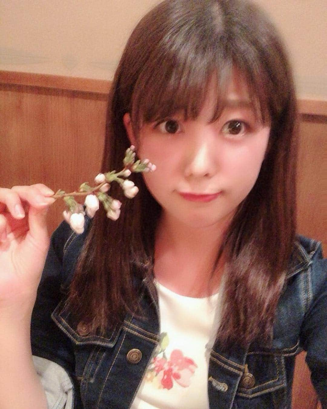 村上麻莉奈さんのインスタグラム写真 - (村上麻莉奈Instagram)「誕生日おめでとうメッセージくださった皆様ありがとうございました！！😊😊 家族全員で京都旅行してます〜！ 初の都をどり見られて、とっても華やかで素敵でした〜！！ #早朝にまさかのみたんに遭遇w #レースお疲れ様！ #京都 #都をどり」4月20日 21時22分 - murakami_marina