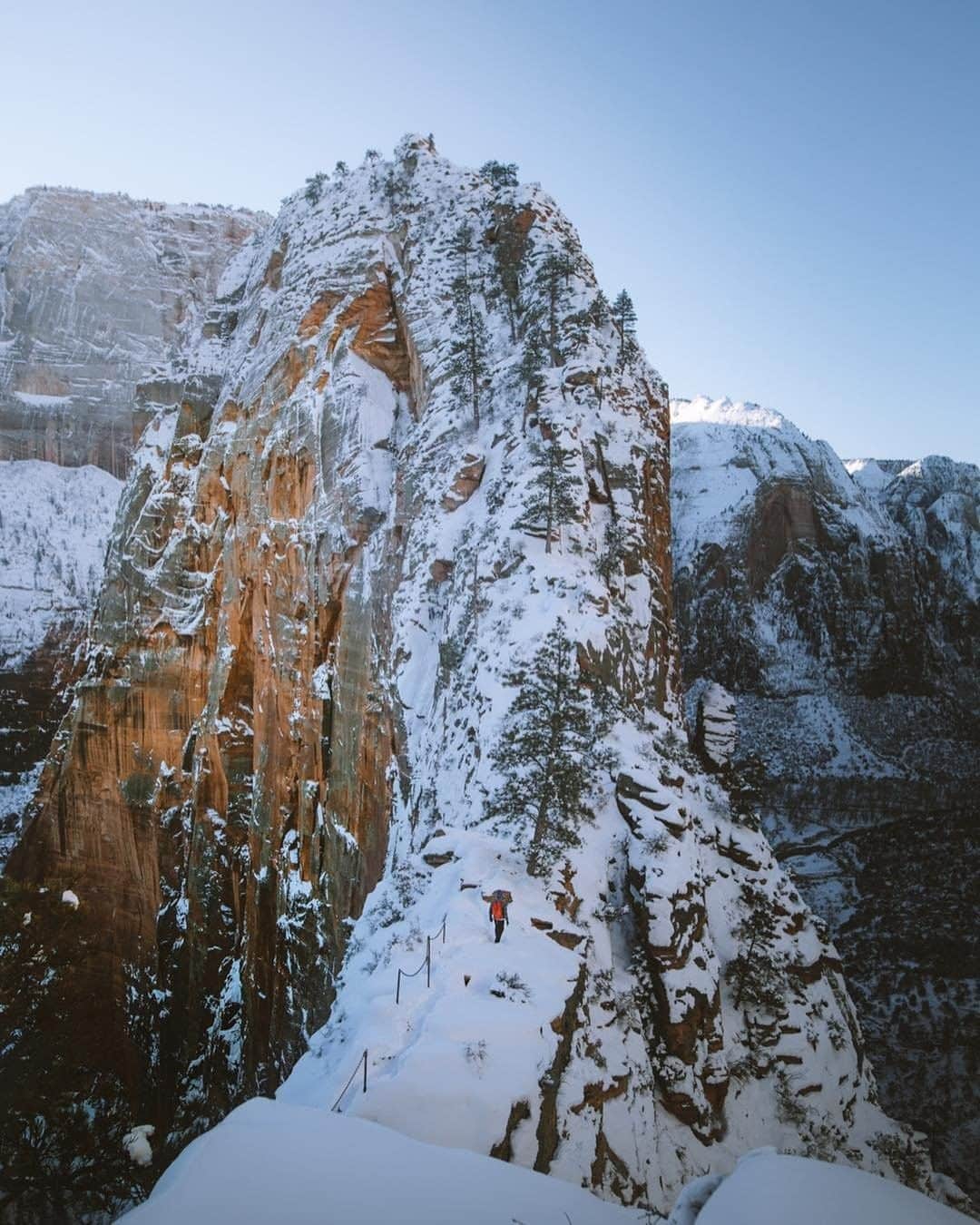 REIさんのインスタグラム写真 - (REIInstagram)「#NationalParkWeek begins today! Which park are you visiting this week?  Photo: @petenathanson in Zion National Park, #Utah. #OptOutside」4月20日 22時00分 - rei