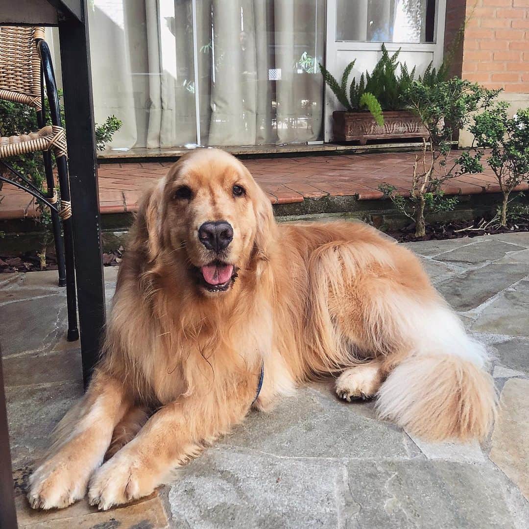 Bruna Unzuetaのインスタグラム：「Bom dia ✨ com o amor da minha 💛」