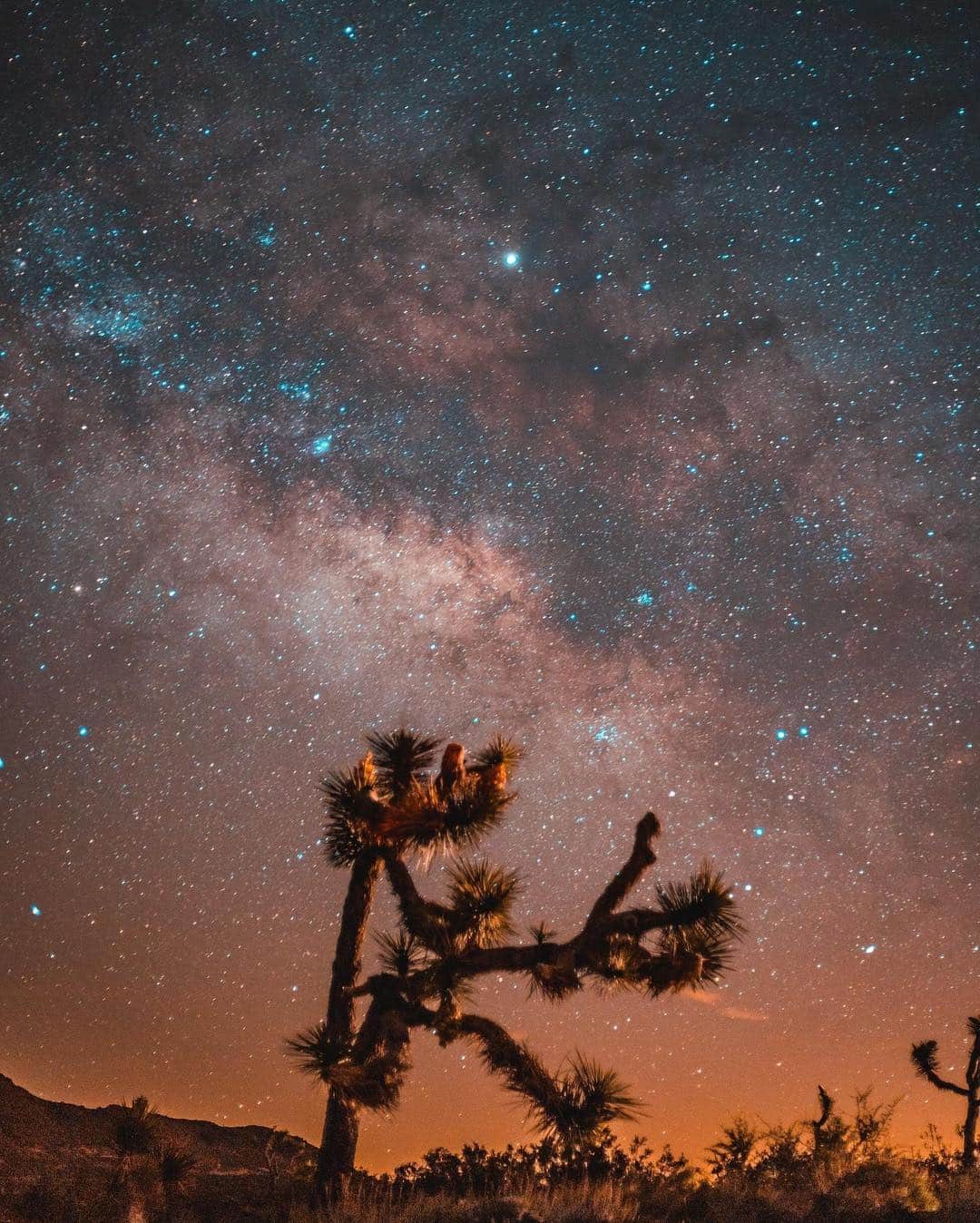 CANON USAさんのインスタグラム写真 - (CANON USAInstagram)「"Hanging out with my friends and chasing the Milky Way at Joshua Tree National Park!" #MyCanonStory  Photo Credit: @miguelin1992  Camera: #Canon EOS R Lens: EF 50mm f/1.8 STM Aperture: f/1.8 ISO: 1600 Shutter Speed: 20 sec Focal Length: 50mm  #teamcanon #canonusa #milkyway #joshuatree #nightphotography」4月20日 22時41分 - canonusa