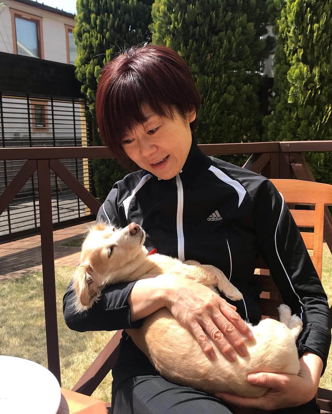 神野美伽さんのインスタグラム写真 - (神野美伽Instagram)「しあわせ〜 💕  #犬」4月20日 23時10分 - mika_shinno_japan