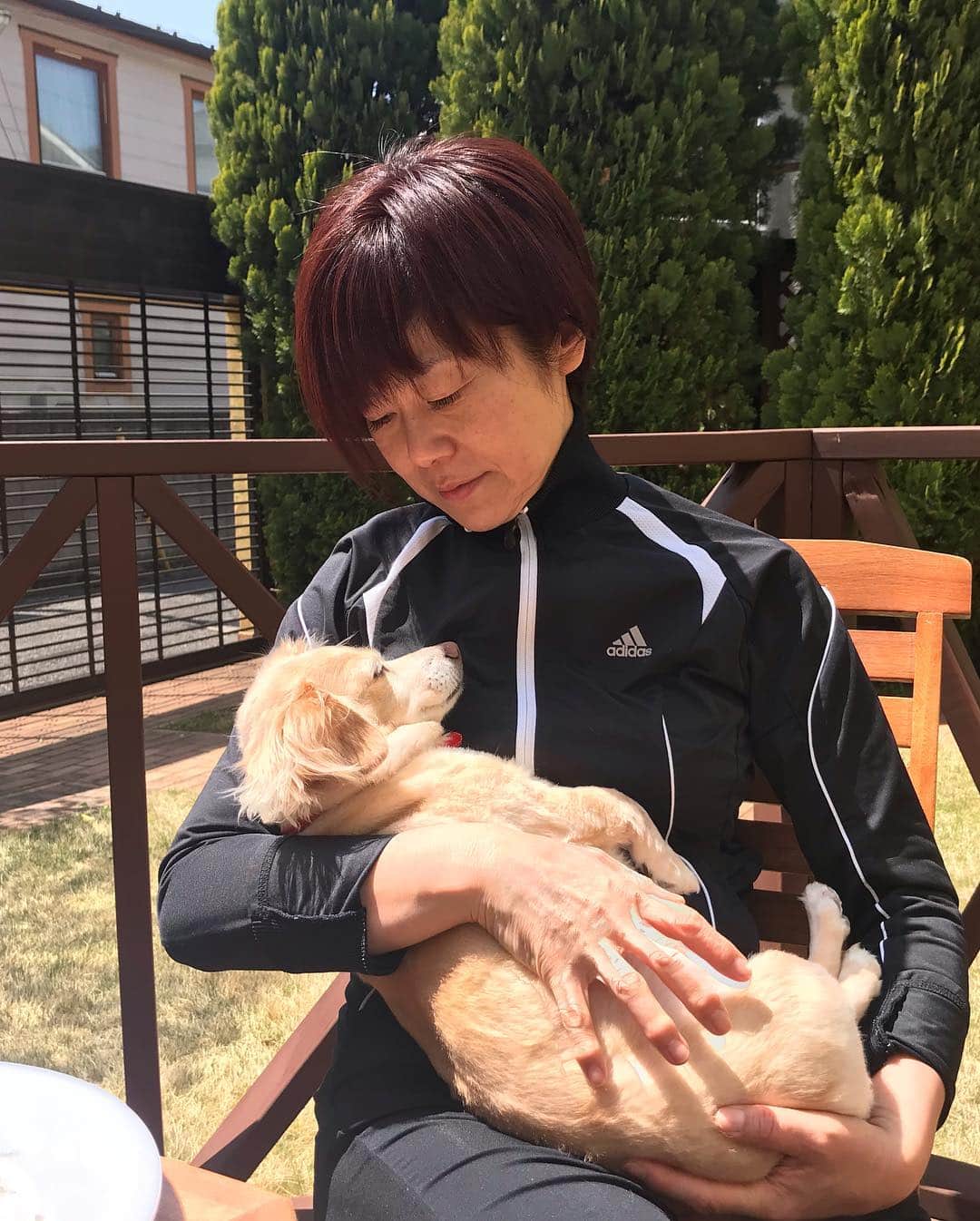 神野美伽さんのインスタグラム写真 - (神野美伽Instagram)「しあわせ〜 💕  #犬」4月20日 23時10分 - mika_shinno_japan