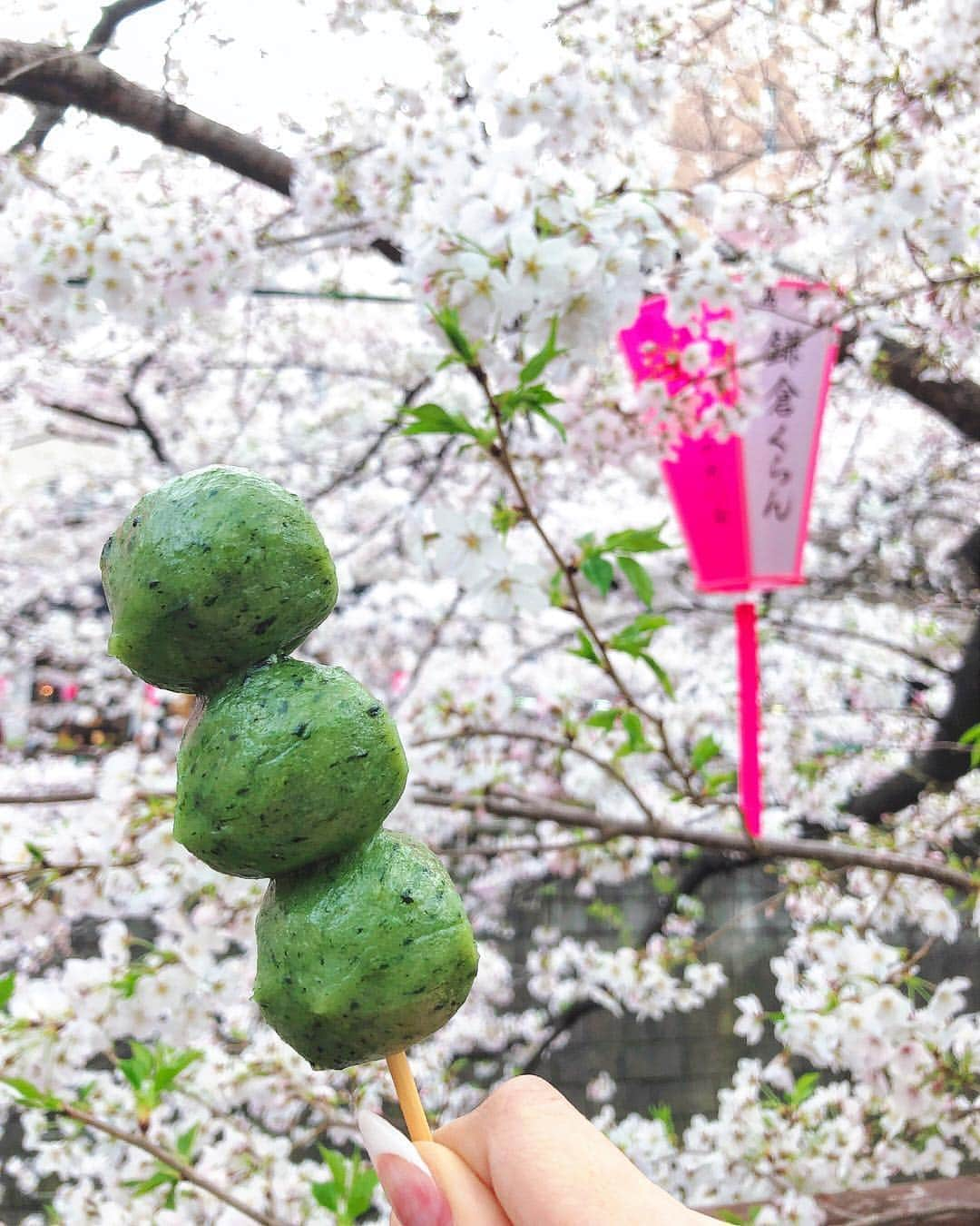 二重の女神 まあささんのインスタグラム写真 - (二重の女神 まあさInstagram)「. 桜🌸とお団子🍡﻿ もちもちで美味しかった❤︎ ﻿ ﻿ #spring #cherryblossom #cherryblossomtree #sakura #instapic #hanami #nakameguro #nakameguroriver #2019春 #花見 #お花見 #桜 #目黒川 #中目黒 #目黒川の桜 #インスタ映え #お散歩 #桜並木 #団子 #よもぎもち」4月20日 23時03分 - maasa.05