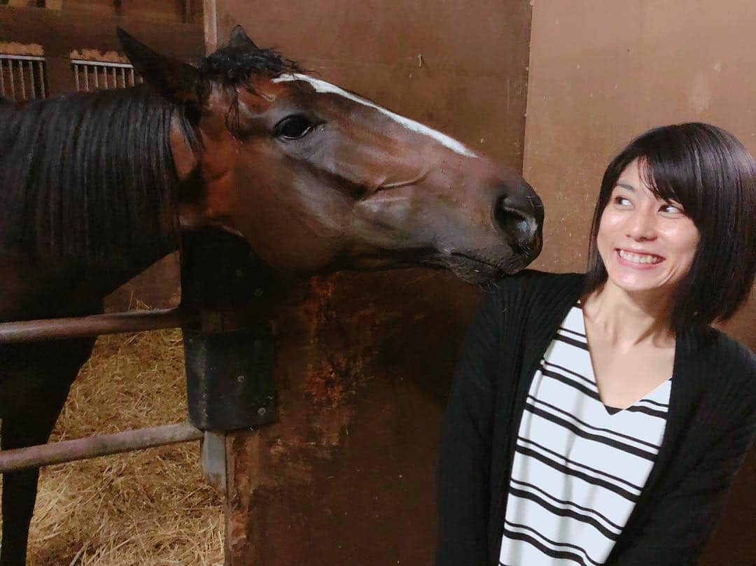 芳野友美さんのインスタグラム写真 - (芳野友美Instagram)「#船橋競馬場 の#伊藤厩舎 で#調教師補佐 をやっている友人にお願いして、先日#競走馬 に会わせてもらいました！！ 大興奮！！！！！ #ラヴァーズインメイ です♪ 詳しくはブログを見てね！！ --------------------------- いよいよ明日！！ 4/21(日)21:00〜23:05 #テレビ朝日 「#警視庁捜査一課長 ワールドスペシャル」出演♪」4月20日 23時28分 - yumi_yoshino_1980