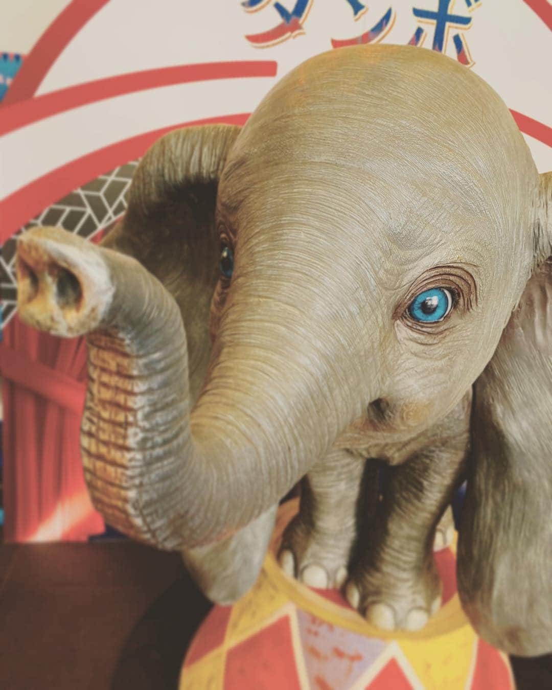 宍戸留美のインスタグラム：「#disney #dumbo #ダンボ #movie #映画 #ディズニー #timburton」