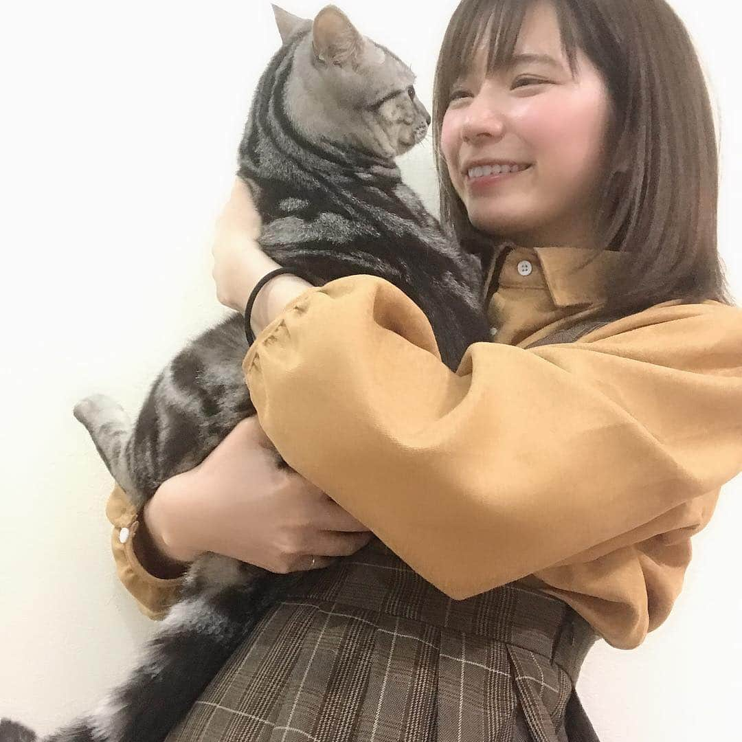 青山日和さんのインスタグラム写真 - (青山日和Instagram)「ㅤㅤㅤㅤㅤㅤㅤㅤㅤㅤㅤㅤㅤ ㅤㅤㅤㅤㅤㅤㅤㅤㅤㅤㅤㅤㅤ アメショなのにくっつき虫のだっこして猫。 ㅤㅤㅤㅤㅤㅤㅤㅤㅤㅤㅤㅤㅤ そして、 @17kg_official のワンピースkawaii👗♡ たしかシャツとワンピースセットで4000円くらいだった🙌🏻 ㅤㅤㅤㅤㅤㅤㅤㅤㅤㅤㅤㅤㅤ #17kg #fashion #cat #neko #onepiece #shirt #ootd #spring #osaka #韓国 #韓国ファッション #プチプラ #通販 #カジュアル #服 #ワンピース #お洒落 #シャツ #ねこ #猫 #ボブ #アメリカンショートヘア #通販」4月20日 23時32分 - hiyo131131