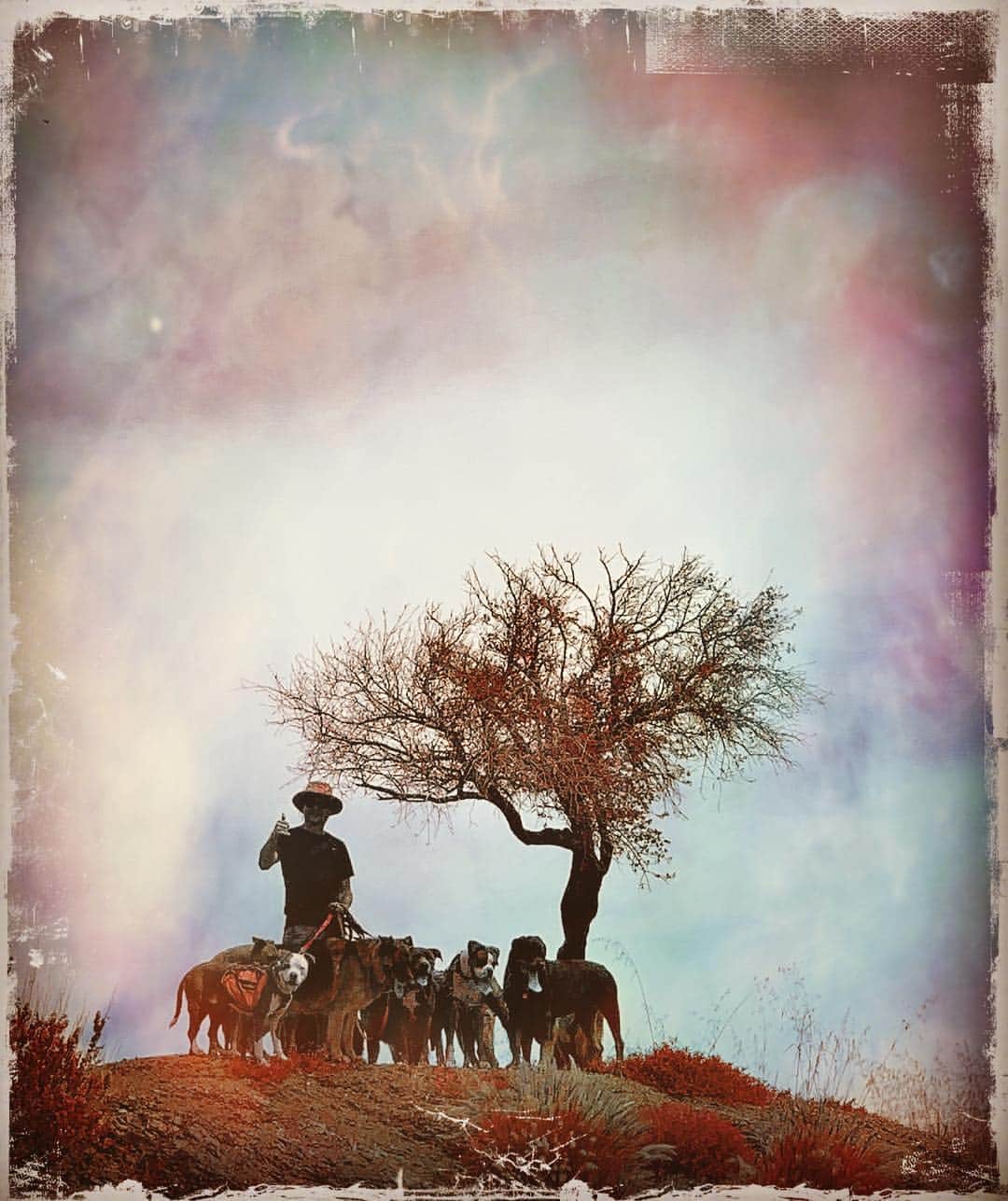 ロブ・モローのインスタグラム：「Dog-walker #santamonicamountains」