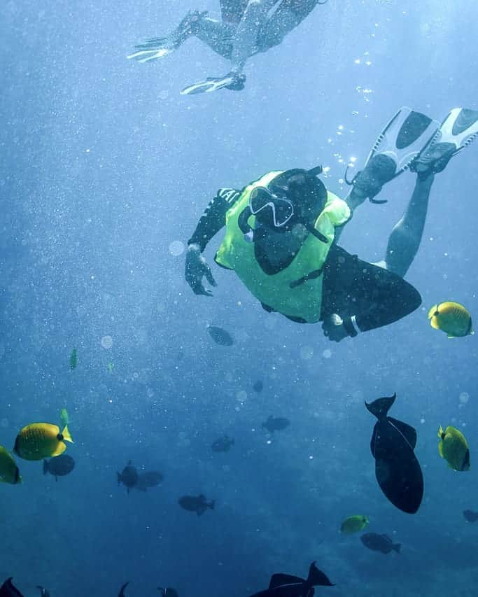 And Youさんのインスタグラム写真 - (And YouInstagram)「When we explore Hawaii's reefs we always use reef-safe sunscreen to protect from the sun! 🌞. . . . #reefsafe #sunscreen #ecotour #sustainable #chasingcoral」4月21日 9時36分 - dolphinsandyou