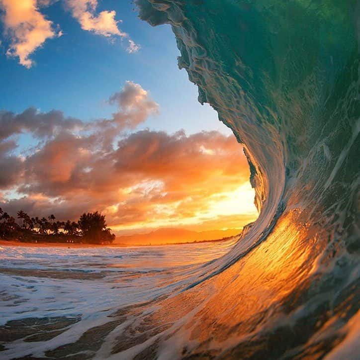 クラーク・リトルさんのインスタグラム写真 - (クラーク・リトルInstagram)「🍊 #shorebreak #hawaii #clarklittle 🆑」4月21日 9時40分 - clarklittle