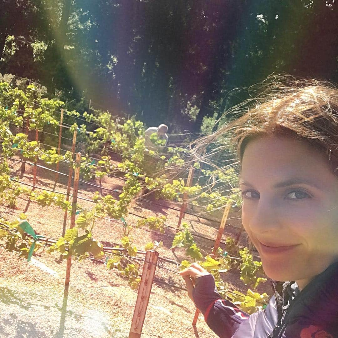 スタナ・カティックさんのインスタグラム写真 - (スタナ・カティックInstagram)「🍇Working the Vineyard with me Pappy. #DaysOff 🍇」4月21日 9時51分 - drstanakatic