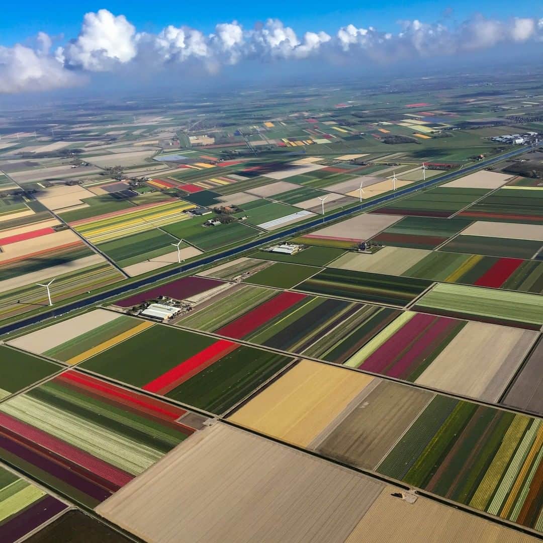 National Geographic Travelさんのインスタグラム写真 - (National Geographic TravelInstagram)「Photo by Muhammed Muheisen @mmuheisen | This is what blossoming tulip fields look like from above, beautiful colorful carpets in Den Helder, The Netherlands. For more photos and videos from different parts of the world, follow me @mmuheisen and @mmuheisenpublic #muhammedmuheisen #denhelder #netherlands」4月21日 10時05分 - natgeotravel