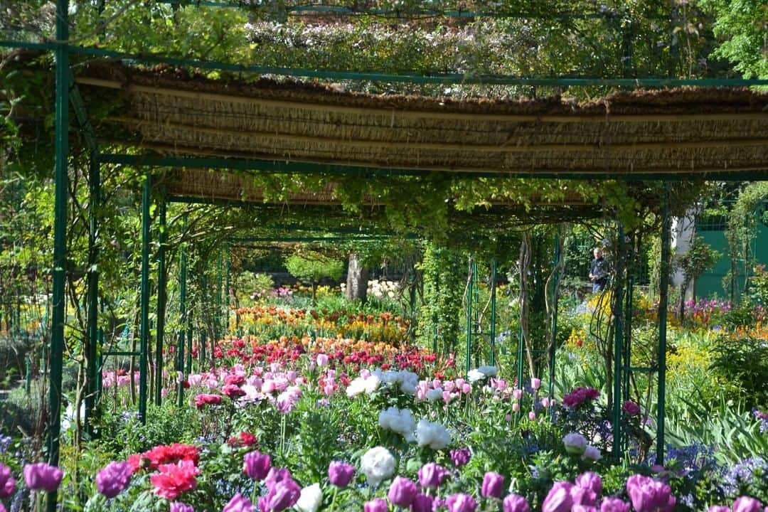 フランス大使館さんのインスタグラム写真 - (フランス大使館Instagram)「【フランスの風景🌄】印象派を代表する画家クロード・モネが晩年をすごしたジベルニーではモネの家と庭園を見学することができます。#日仏交流160周年 にあたる昨年は、モネが庭園に咲く日本のボタンを描いた「牡丹の庭」が、日本庭園「由志園」の協力のもと復元されました。 🌄Un jour en France : lors de la célébration du 160e anniversaire des relations 🇫🇷🇯🇵 en 2018, le jardin ayant inspiré « Les Pivoines » de Claude Monet a été recréé à #Giverny, où vivait le célèbre peintre, grâce à la participation du jardin de Yushi-en. Photo : @FondationMonet @MuseeGiverny」4月21日 10時00分 - ambafrancejp