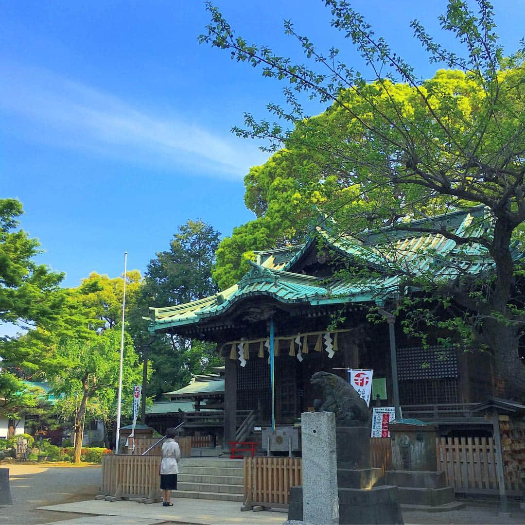 中倉隆道さんのインスタグラム写真 - (中倉隆道Instagram)「. 投票→お参り⛩→朝ラン🏃‍♂️ . . 境内が新緑でキラキラ✨ 初夏みたいな景色♬ . . 今日も元気にモリモリ笑顔でいきまっしょい😊✨ . . #朝 #morning #代々木八幡 #お参り #お詣り #月詣り #アニメ研究家 #中倉隆道 #フリーアナウンサー #柿ピー研究家」4月21日 10時25分 - ryudo.tokyo