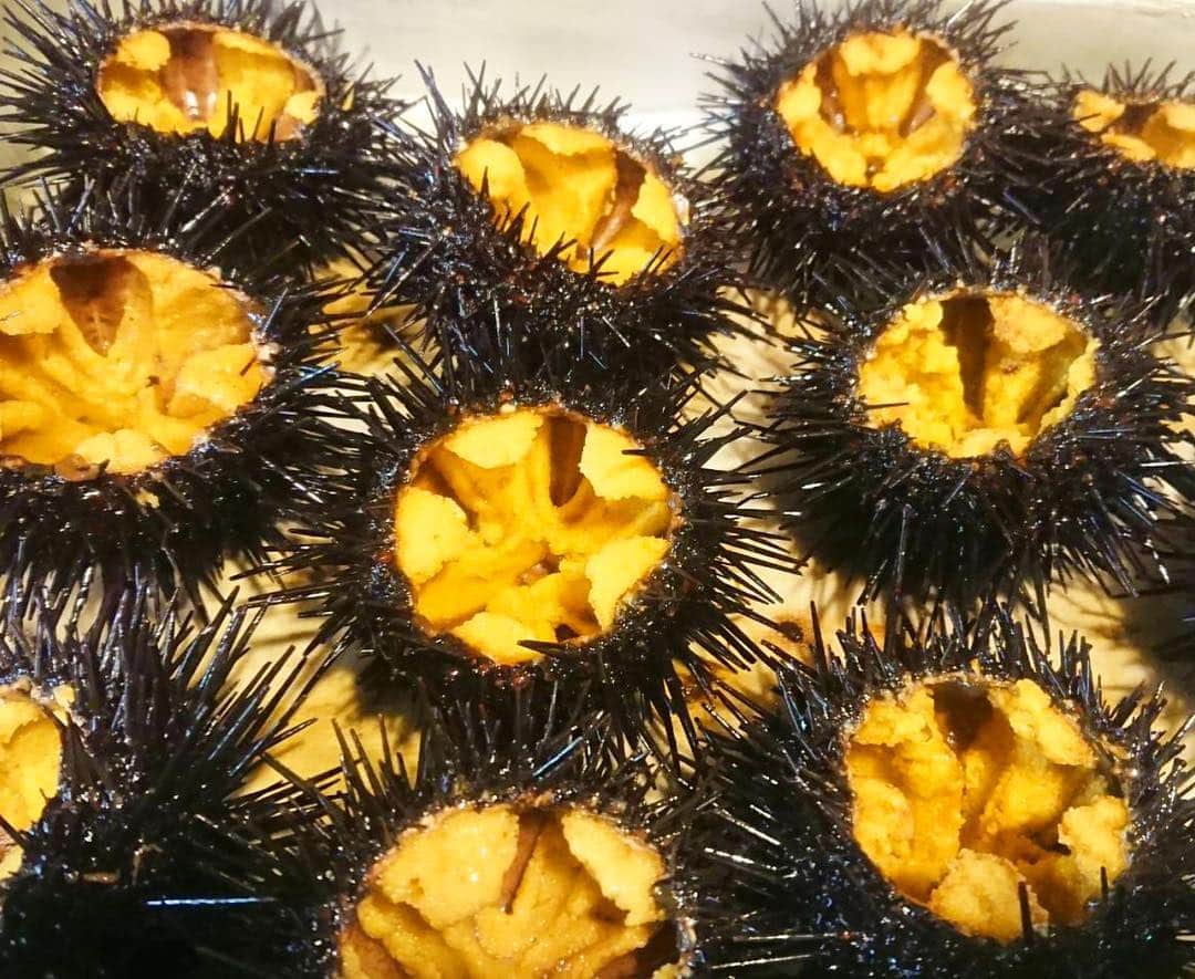 寿司居酒屋 番屋のグルメインスタ