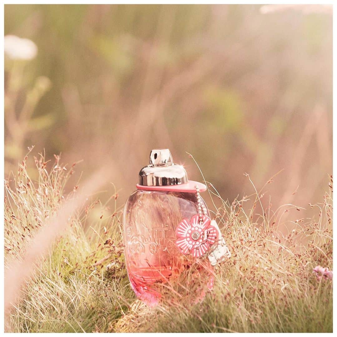 コーチさんのインスタグラム写真 - (コーチInstagram)「Inspired by the Tea Rose—one of our most romantic House codes—#CoachFloralBlush is all about the possibility of adventure.  #CoachNY」4月21日 2時55分 - coach