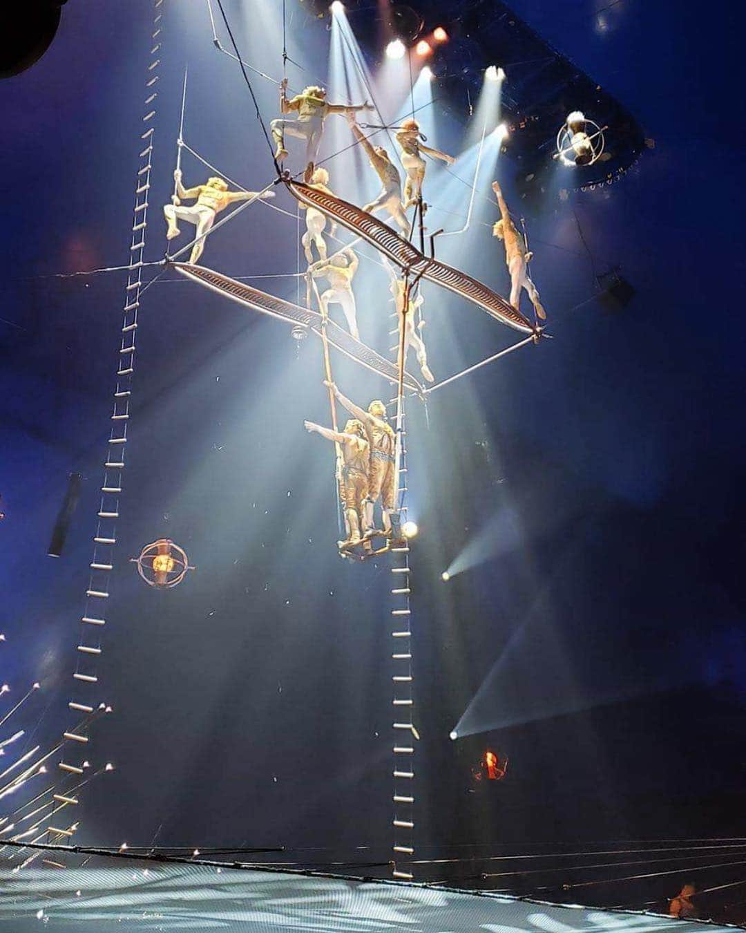 マリッサ・キングのインスタグラム：「World Circus Day and I get to spend it flying high with my angel brothers and sister 💛  #WorldCircusDay #highbarteam #Alegria #lovethelifeyoulive」