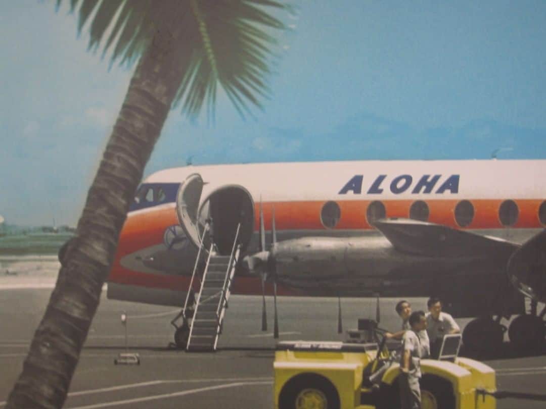 レインスプーナーさんのインスタグラム写真 - (レインスプーナーInstagram)「Glory Daze. 🍍🌴⁣ ⁣.⁣ .⁣ .⁣ .⁣ #originaloha⁣ #soulaloha⁣ #travel⁣ #1960s⁣ #hawaiinhistory #hawaiilife」4月21日 4時00分 - reynspooner