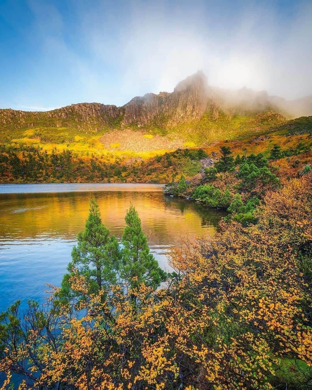 Australiaさんのインスタグラム写真 - (AustraliaInstagram)「This splash of colour at #CradleMountain has us totally feeling the #autumn vibes 🍂 This distinct golden hue that @beautyoftasmania captured is courtesy of 'Deciduous beech', or #fagus as it's more commonly known, #Australia's only cold climate winter-deciduous tree, that’s found nowhere else in the world but @Tasmania. Its annual foliage transformation from rust red through to brilliant gold has now started, attracting visitors and photographers from afar to capture this magical sight. TIP: Tassie’s alpine national parks, including @visitcradlecoast’s Cradle Mountain and Mt Field, are some of the best spots to see the fagus in all its glory, but get in quick, the next couple of weeks are when the colour is at its finest!  #seeaustralia #discovertasmania #cradlecoast #nature #explore #travel」4月21日 4時00分 - australia