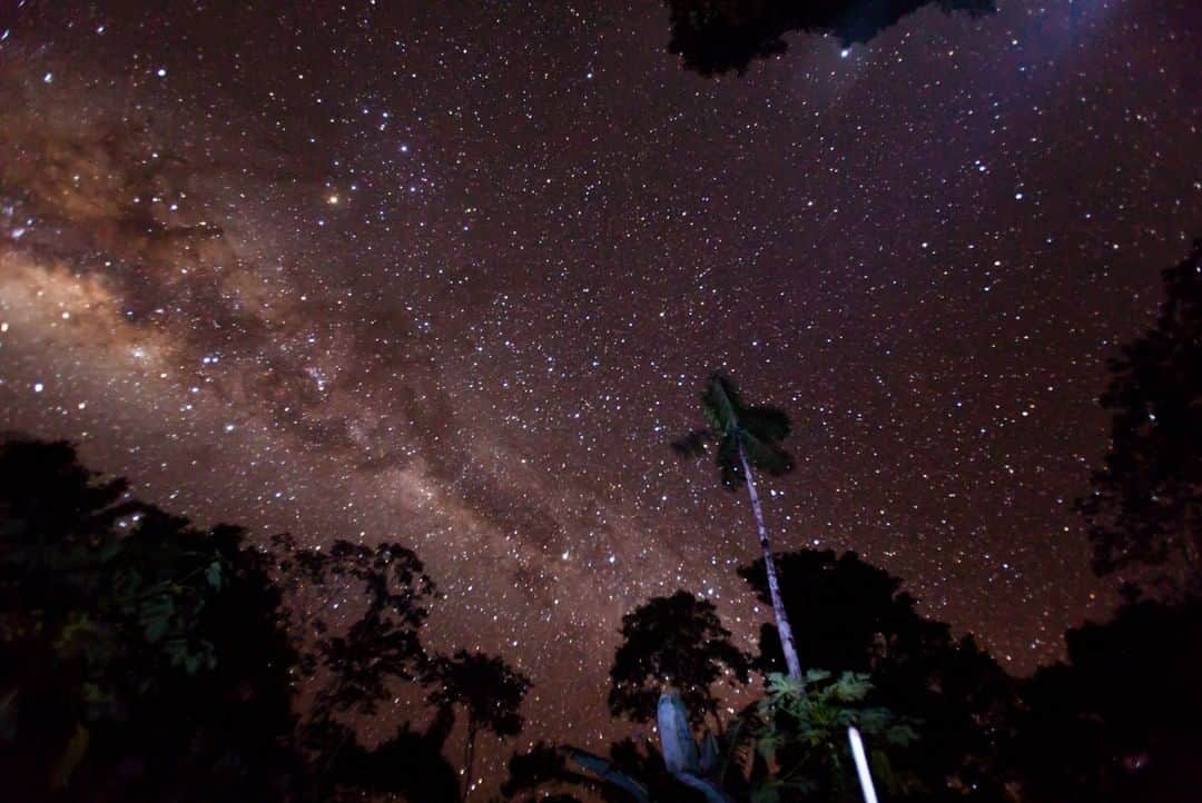 National Geographic Travelさんのインスタグラム写真 - (National Geographic TravelInstagram)「Photo by @sofia_jaramillo5 | The night sky as seen from the Amazon Rainforest near the Tambopata River in Peru. #nightphotography #astrophoto #rainforest」4月21日 4時01分 - natgeotravel