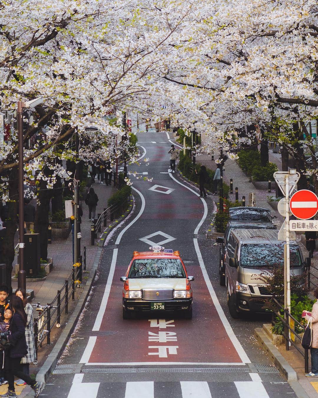BEAUTIFUL DESTINATIONSさんのインスタグラム写真 - (BEAUTIFUL DESTINATIONSInstagram)「While Tokyo may be known for its hustle and bustle, cherry blossoms in full bloom can make even the busiest of bees pause to take in a moment of beauty. 🐝 Where's your favorite place to check out these springtime blooms? (📷: @chrisroams 📍: Shibuya, Tokyo)」4月21日 4時27分 - beautifuldestinations