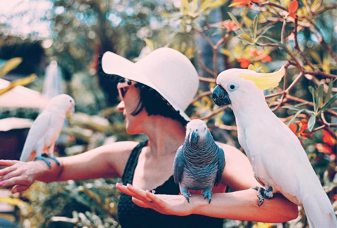 Robert Bingamanのインスタグラム：「Birdlady.」