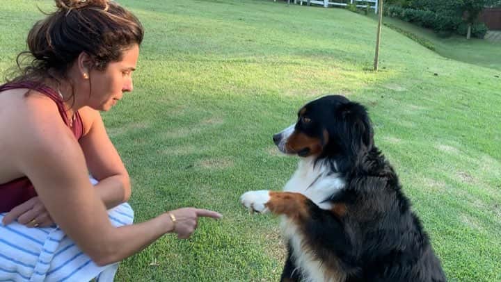 Giovanna Antonelliのインスタグラム：「Levo jeito ???? Rsrs Diga aí??? 🐶Abundância 🐕 #Abu #foadog」