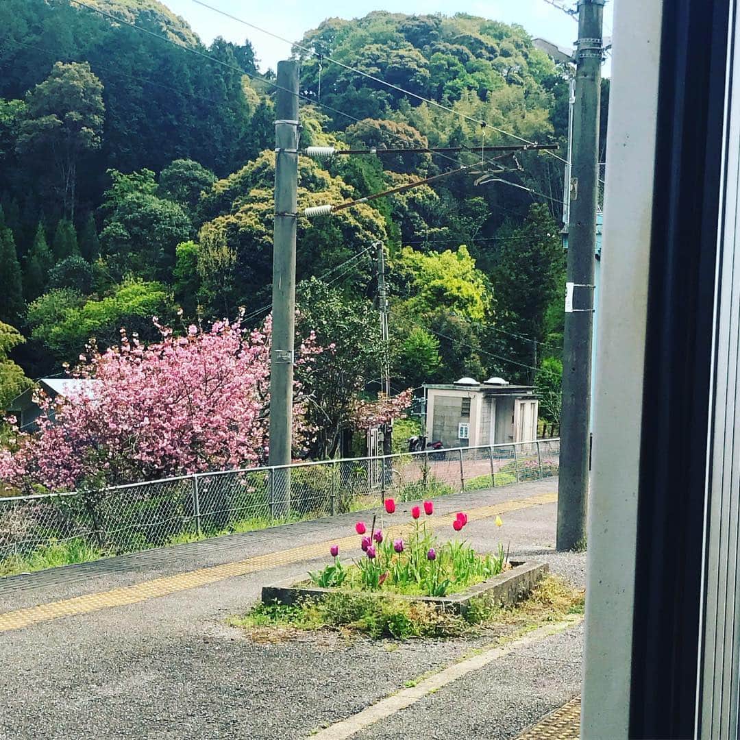 齊藤美絵さんのインスタグラム写真 - (齊藤美絵Instagram)「電車の通過待ちで開いているドアから、ウグイスの鳴き声。  春麗らかな静寂。  心落ち着けた瞬間に届くメッセージ。 常に自然に耳を傾けていたい。  愛しい風景。  #大分 #Oita #電車 #春 #通過待ち #5分ほど #静寂 #美しい時間 #麗らか #ツタエルヒト。」4月21日 5時41分 - saitomie