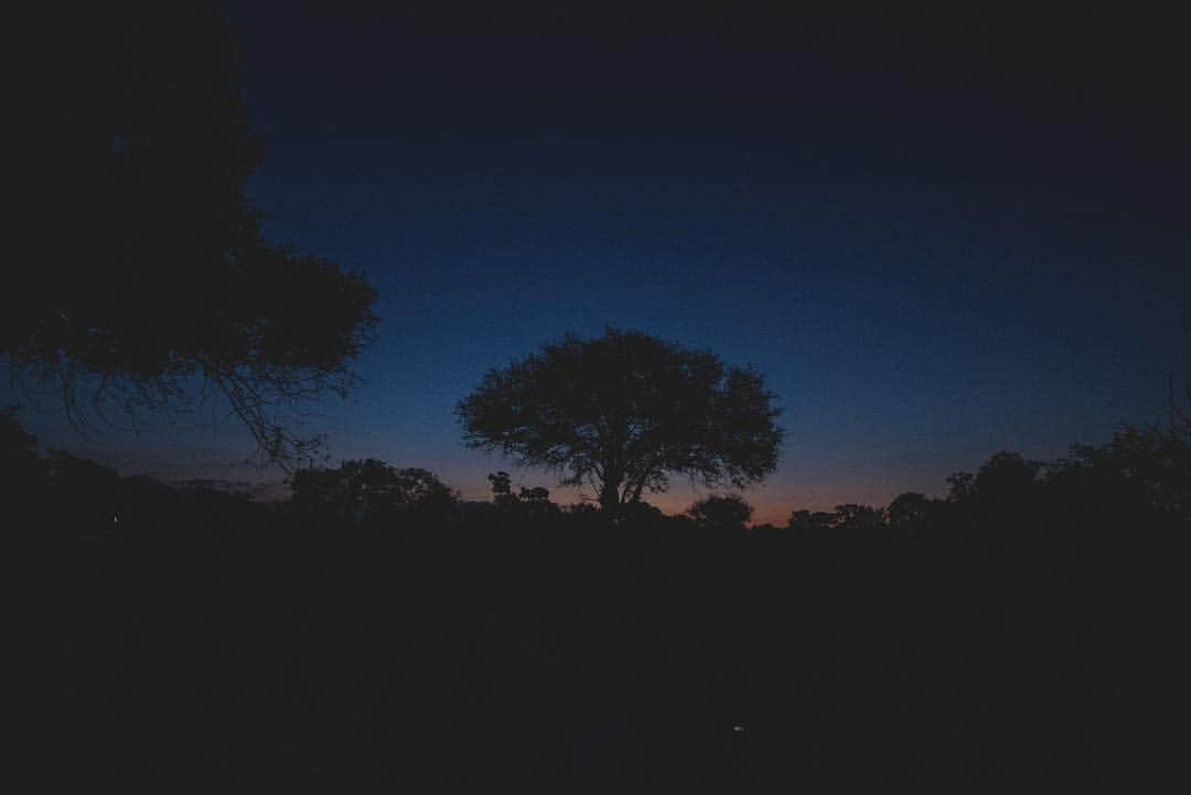 アンドレア・ボチェッリさんのインスタグラム写真 - (アンドレア・ボチェッリInstagram)「. A day at Sabi Sabi wildlife reserve . ph: @lucarossettiph」4月21日 6時04分 - andreabocelliofficial