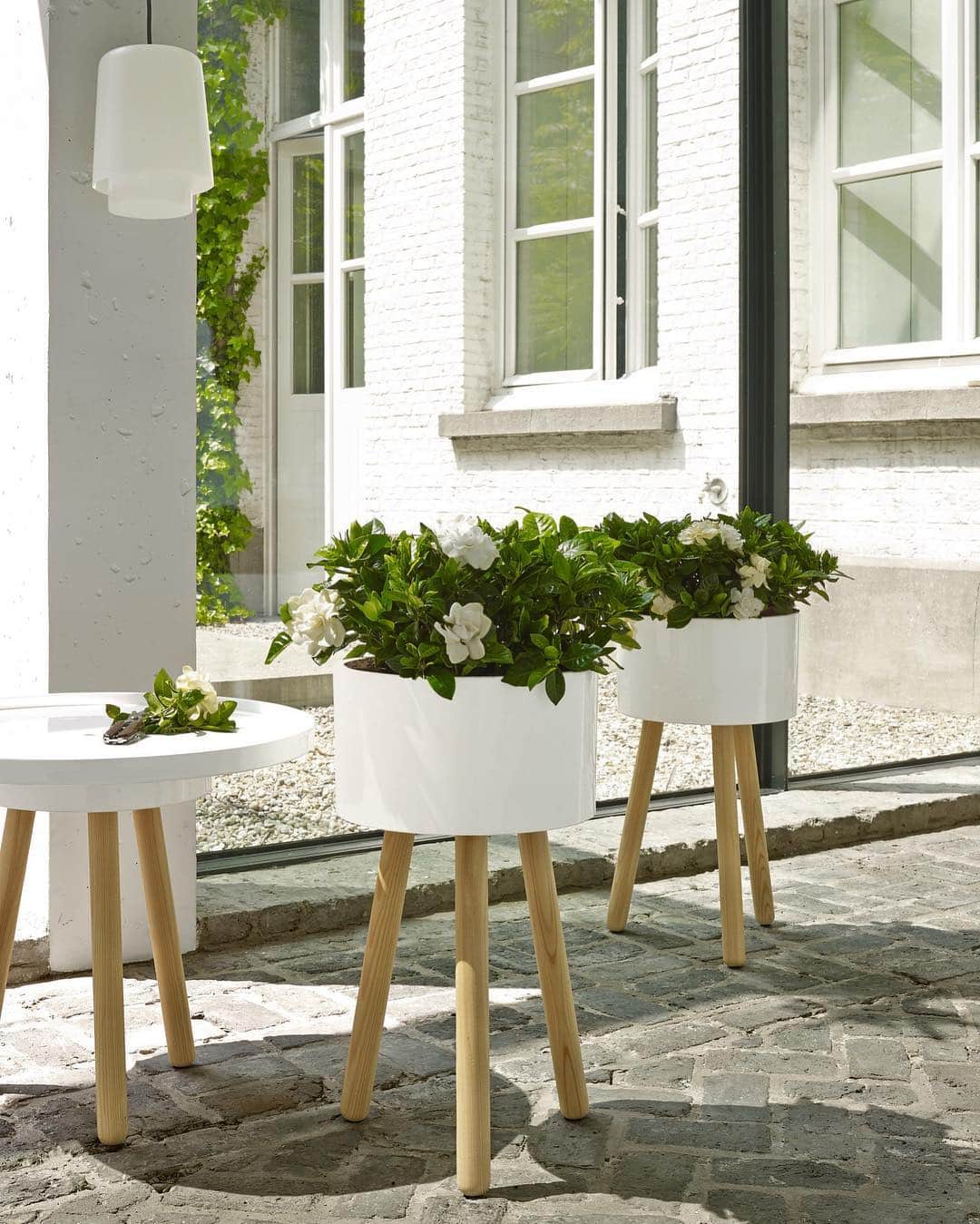 Ligne Rosetさんのインスタグラム写真 - (Ligne RosetInstagram)「A welcome home for greenery to grow. Designed with satin white stoneware, Jean-Baptiste pots by Jean-François D'Or lift flowers from the ground as if to nurture & raise them closer to the sun.⁣」4月21日 6時30分 - ligneroset