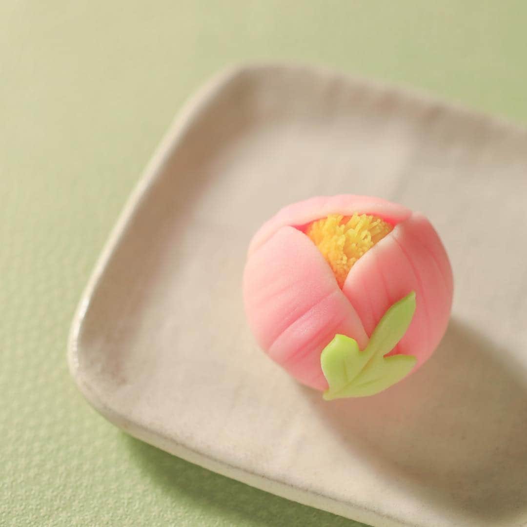 Toru Tsuchieのグルメインスタ