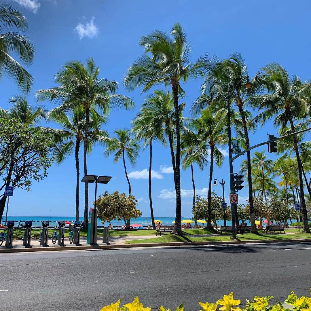 原田あかねさんのインスタグラム写真 - (原田あかねInstagram)「✩*॰ 気持ちいいな〜🌴 . #goodmorning」4月21日 7時03分 - akane.hrd