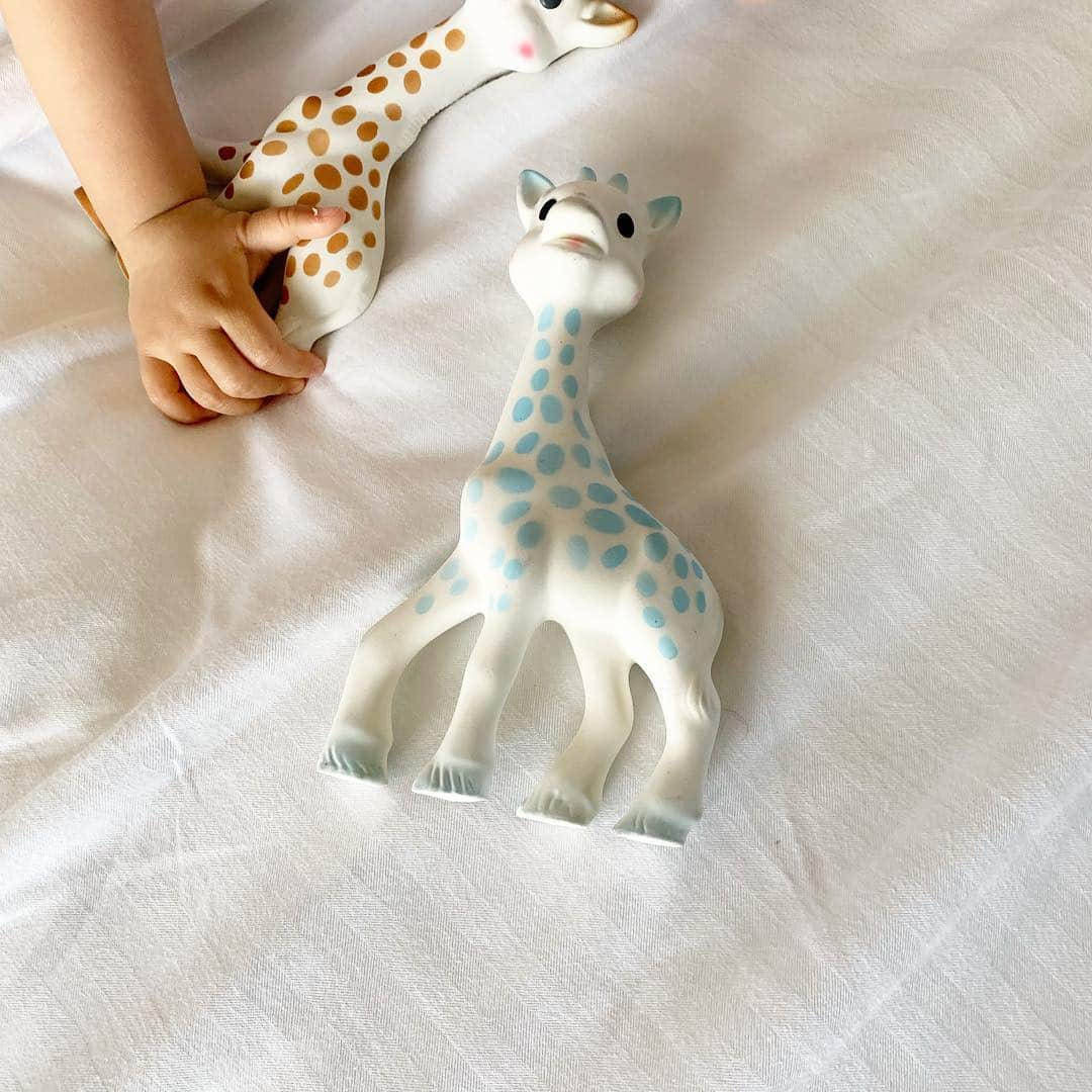 rinさんのインスタグラム写真 - (rinInstagram)「⋆ ⋆ おかえりソフィー🦒 ⋆ ブルーのソフィーは @glowplus が 息子にプレゼントしてくれた サイレントver.💙 静かな場所とかで大活躍‼︎ ⋆ 首を絞められて青ざめてる訳 ではない🤘 #窒素ソフィー 🆖 #サイレントソフィー 🆗 ⋆ ⋆  @sophielagirafe_japan @sophielagirafe_officielle ⋆ ⋆ #キリンのソフィー #ソフィー#息子#男の子#1歳2ヶ月#生後14ヶ月#ベビー#ママリ#ベビフル#ベビリトル #baby#babyboy#oneyearsold #sophielagirafe#girafe」4月21日 7時50分 - rinrin87