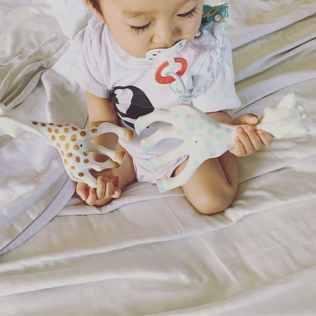 rinさんのインスタグラム写真 - (rinInstagram)「⋆ ⋆ おかえりソフィー🦒 ⋆ ブルーのソフィーは @glowplus が 息子にプレゼントしてくれた サイレントver.💙 静かな場所とかで大活躍‼︎ ⋆ 首を絞められて青ざめてる訳 ではない🤘 #窒素ソフィー 🆖 #サイレントソフィー 🆗 ⋆ ⋆  @sophielagirafe_japan @sophielagirafe_officielle ⋆ ⋆ #キリンのソフィー #ソフィー#息子#男の子#1歳2ヶ月#生後14ヶ月#ベビー#ママリ#ベビフル#ベビリトル #baby#babyboy#oneyearsold #sophielagirafe#girafe」4月21日 7時50分 - rinrin87