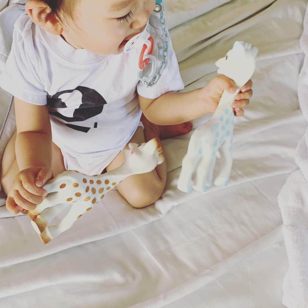 rinさんのインスタグラム写真 - (rinInstagram)「⋆ ⋆ おかえりソフィー🦒 ⋆ ブルーのソフィーは @glowplus が 息子にプレゼントしてくれた サイレントver.💙 静かな場所とかで大活躍‼︎ ⋆ 首を絞められて青ざめてる訳 ではない🤘 #窒素ソフィー 🆖 #サイレントソフィー 🆗 ⋆ ⋆  @sophielagirafe_japan @sophielagirafe_officielle ⋆ ⋆ #キリンのソフィー #ソフィー#息子#男の子#1歳2ヶ月#生後14ヶ月#ベビー#ママリ#ベビフル#ベビリトル #baby#babyboy#oneyearsold #sophielagirafe#girafe」4月21日 7時50分 - rinrin87